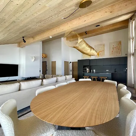 Homency - Phoenix B46 * Alpe d'Huez